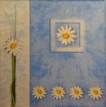 089 Daisies  - 3 ply - Paper Design